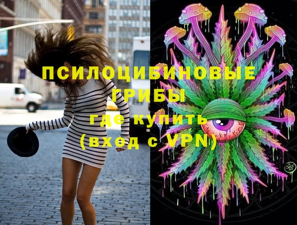 МДПВ Алзамай