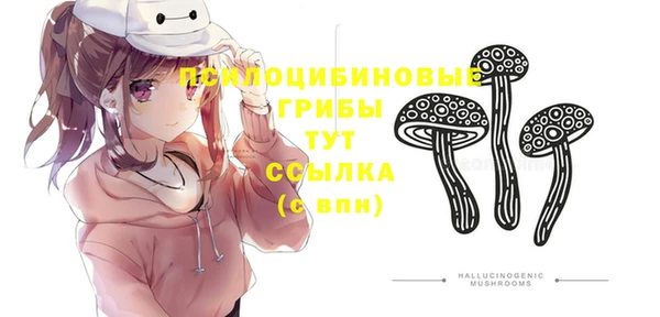 круглые Алексин