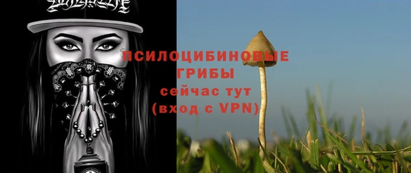 ГАЛЛЮЦИНОГЕННЫЕ ГРИБЫ Абинск