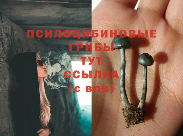 МДПВ Алзамай