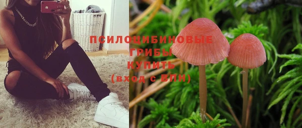 МДПВ Алзамай