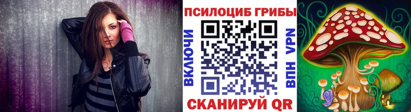 Псилоцибиновые грибы Psilocybine cubensis  Мостовской 